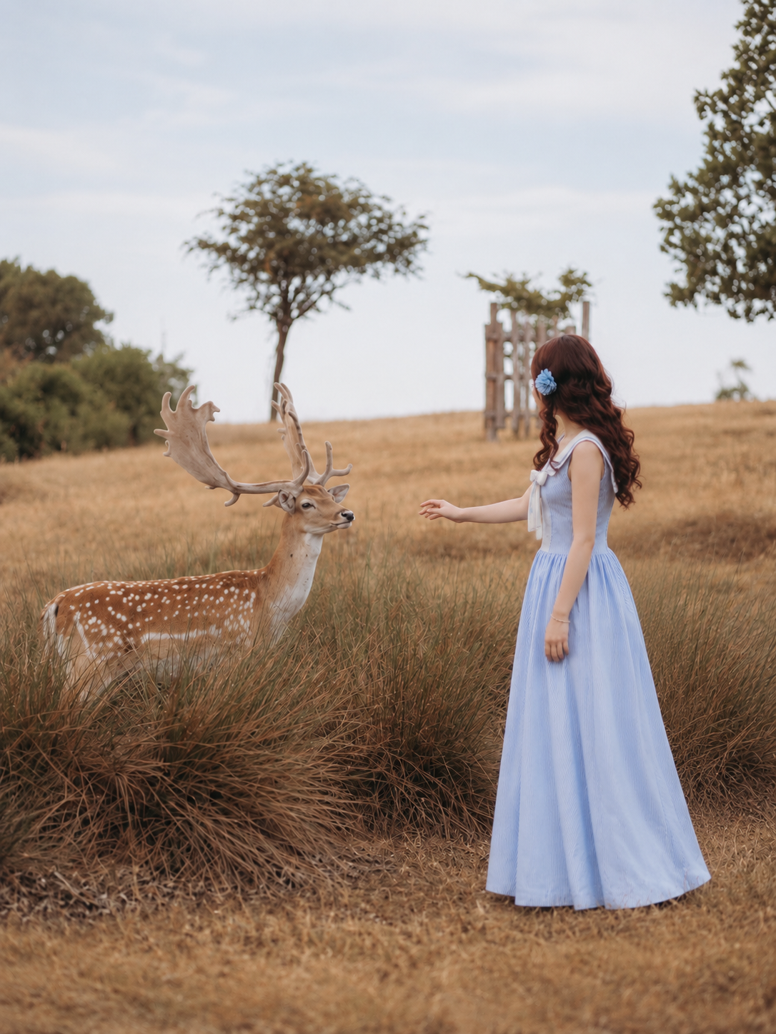 Dorothy Dress