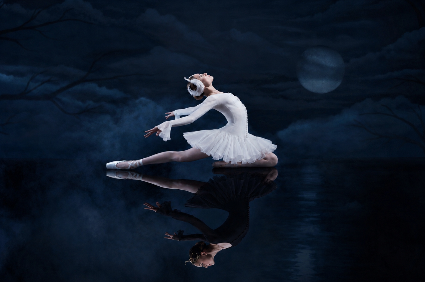 White Swan Tutu