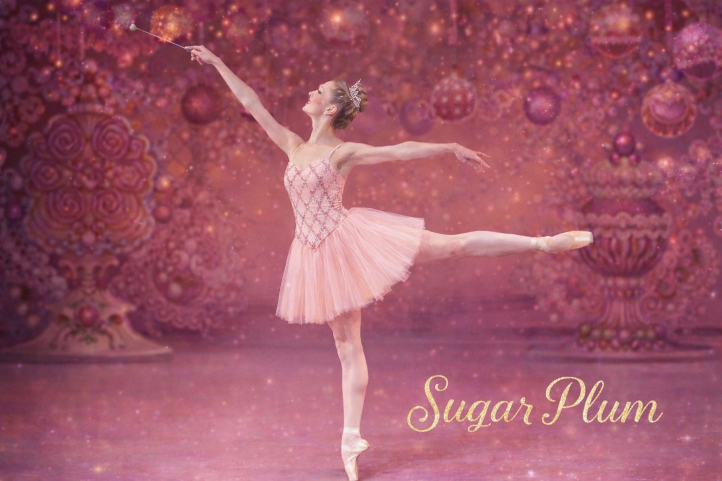 Sugar Plum Tutu