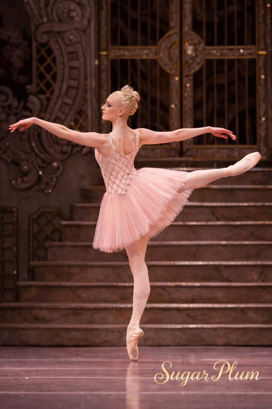 Sugar Plum Tutu