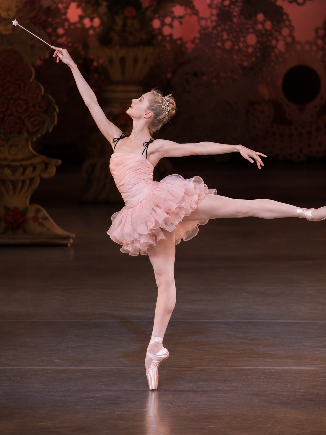 Sugar Plum Tutu